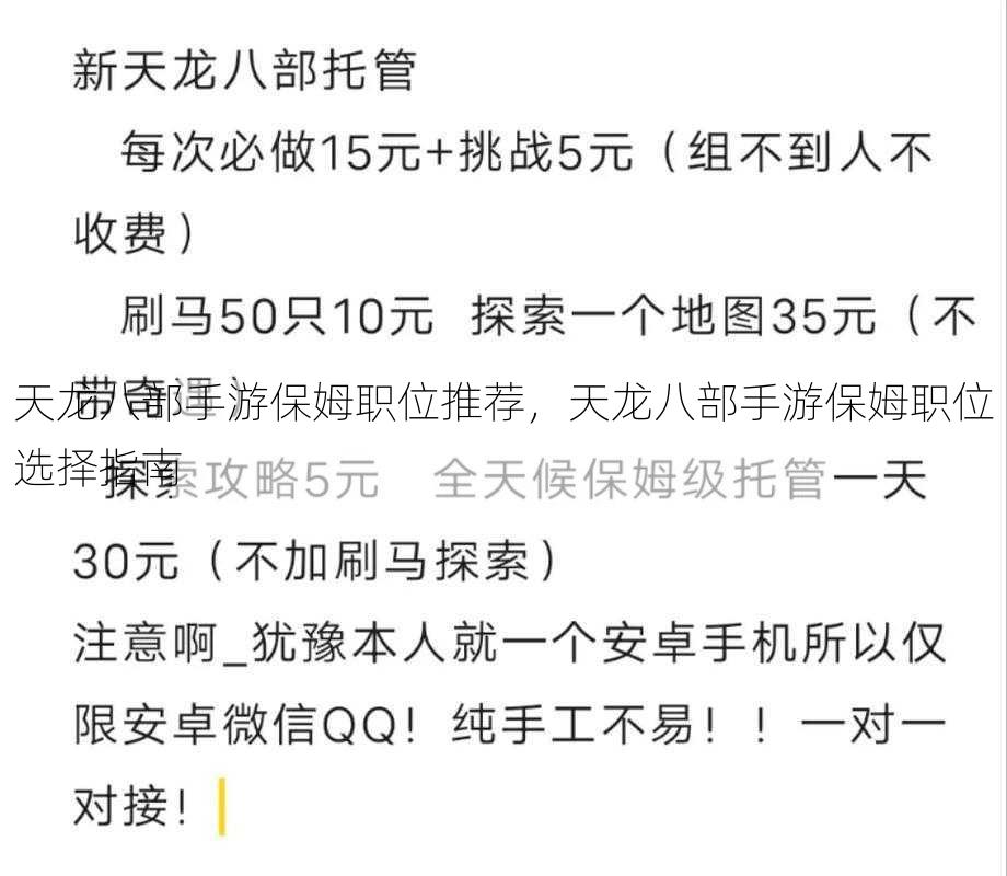 天龙八部手游保姆职位推荐，天龙八部手游保姆职位选择指南